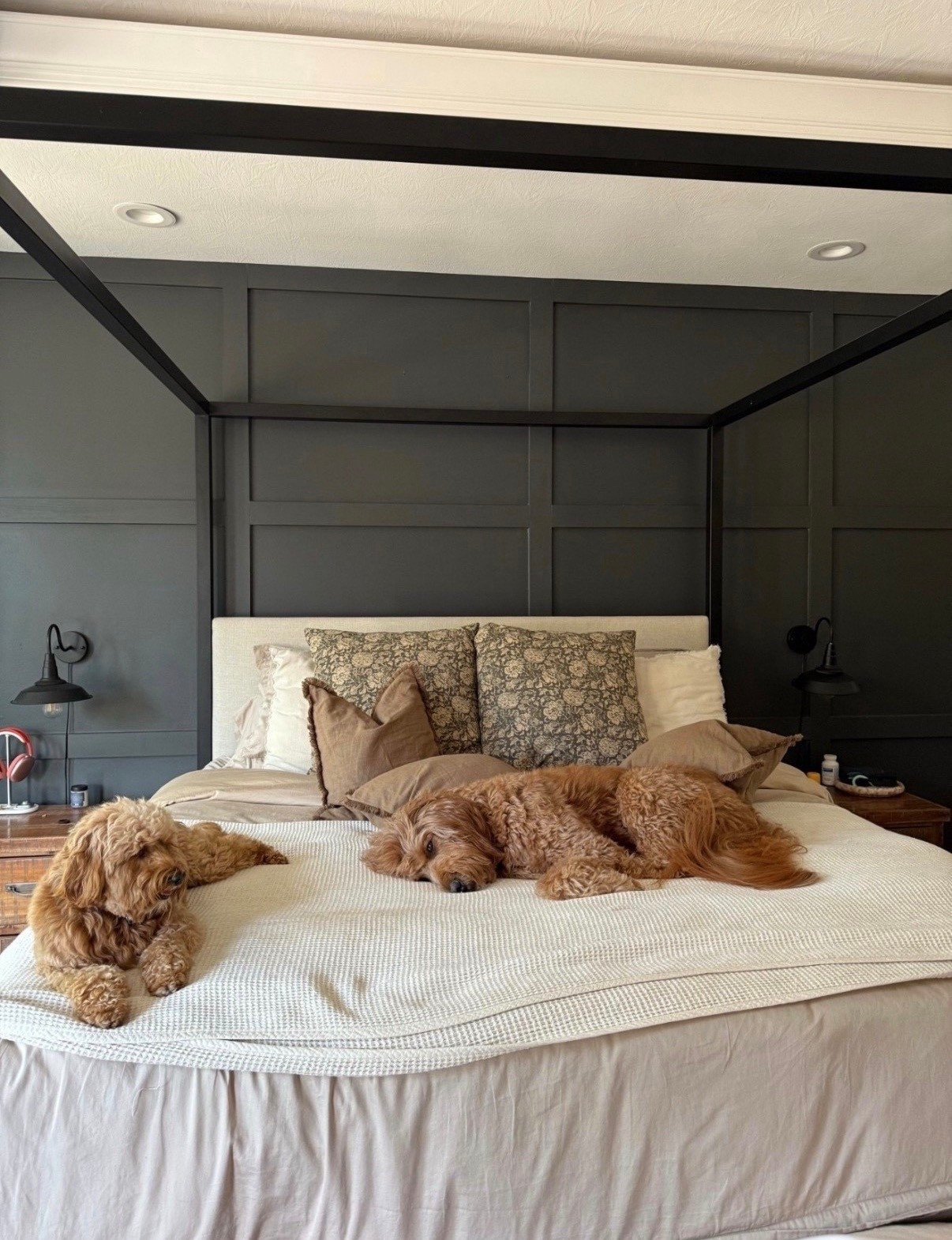 Spring bedroom decor 🌸

#LTKHome #LTKmomlife #LTKgrwm