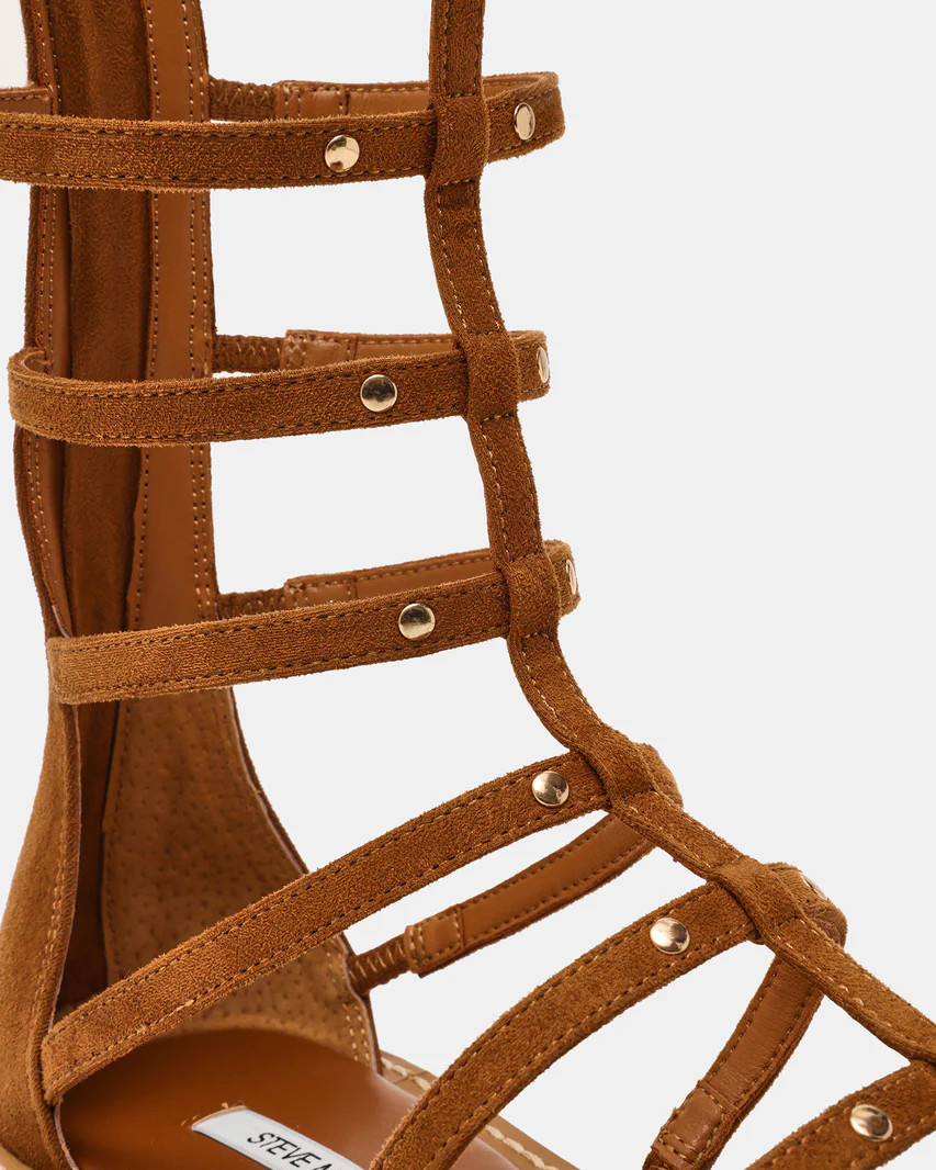 GLADIUS Chestnut Strappy Studs Knee-High Women's Sandal | Steve Madden (US)