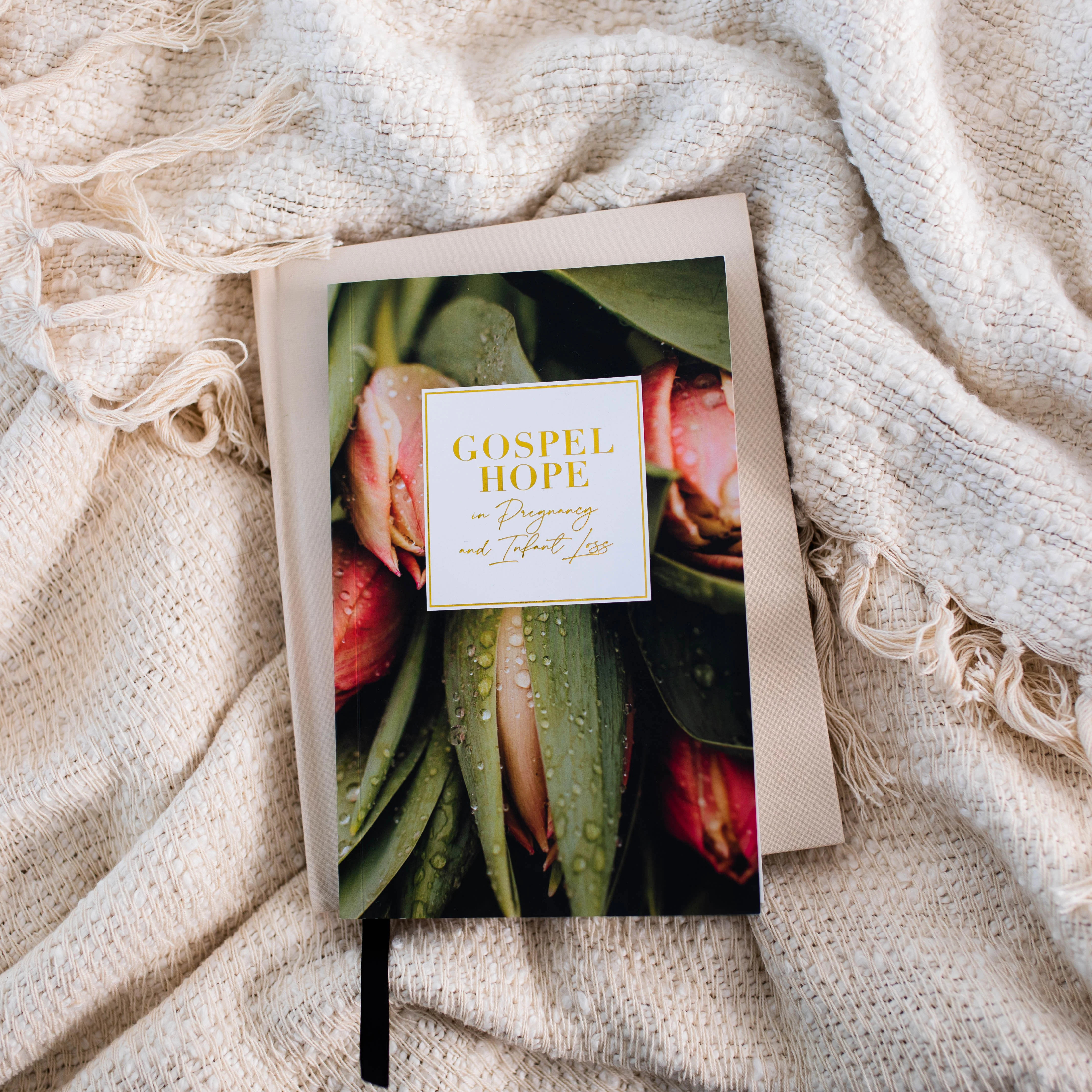 Gospel Hope in Pregnancy and Infant Loss | The Daily Grace Co.