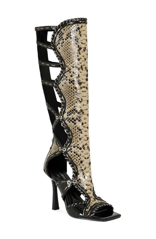 AZALEA WANG Indrani Snake Gladiator Boot in Black at Nordstrom, Size 8.5 | Nordstrom
