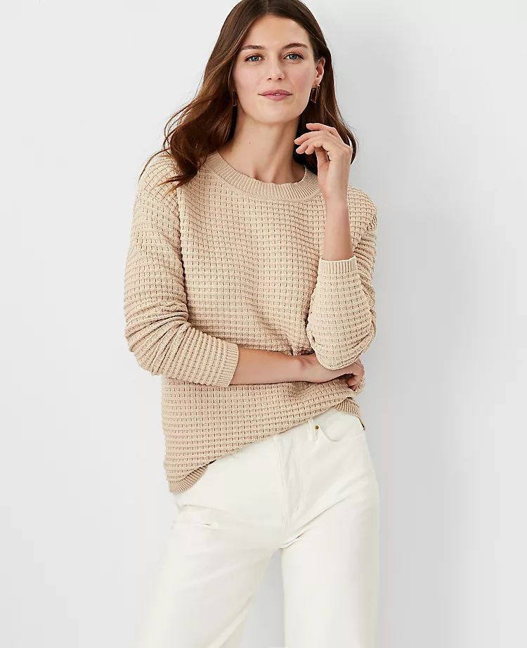 Textured Crew Neck Sweater | Ann Taylor (US)