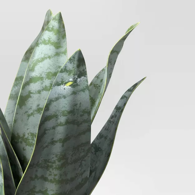 8" x 5" Artificial Snake Plant in Pot - Project 62™ | Target