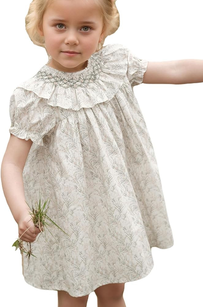 Baby Girls Long Sleeve Smocking Clothing Toddler Fall Floral Smocked Dress Vintage Dresses for Ch... | Amazon (US)