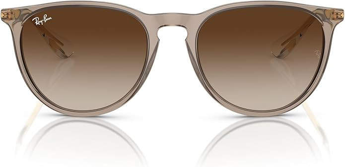 Ray-Ban womens Rb4171 Erika Round Sunglasses | Amazon (US)