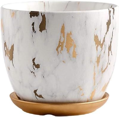 FEIAA Orchid Pot 6 Inch Ceramic Plant Flower Pots with Holes and Saucer Modern Marble White Gold Pla | Amazon (US)