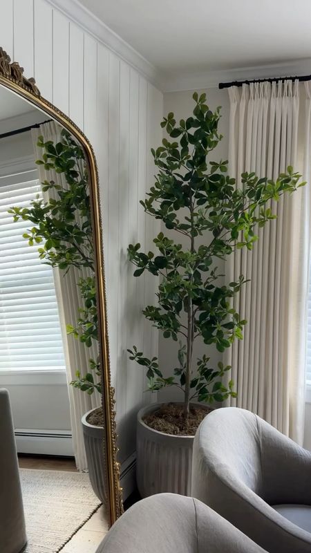 BACK IN STOCK!!! The most beautiful faux black olive tree for only $79 

Follow @athomewithjhackie1 on Instagram for more inspiration, weekend sales and daily finds. studio mcgee x target new arrivals, coming soon, new collection, fall collection, spring decor, console table, bedroom furniture, dining chair, counter stools, end table, side table, nightstands, framed art, art, wall decor, rugs, area rugs, target finds, target deal days, outdoor decor, patio, porch decor, sale alert, tj maxx, loloi, cane furniture, cane chair, pillows, throw pillow, arch mirror, gold mirror, brass mirror, vanity, lamps, world market, weekend sales, opalhouse, target, jungalow, boho, wayfair finds, sofa, couch, dining room, high end look for less, kirkland’s, cane, wicker, rattan, coastal, lamp, high end look for less, studio mcgee, mcgee and co, target, world market, sofas, couch, living room, bedroom, bedroom styling, loveseat, bench, magnolia, joanna gaines, pillows, pb, pottery barn, nightstand, cane furniture, throw blanket, console table, target, joanna gaines, hearth & hand, arch, cabinet, lamp,it look cane cabinet, amazon home, world market, arch cabinet, black cabinet, crate & barrel

#LTKFindsUnder100 #LTKHome