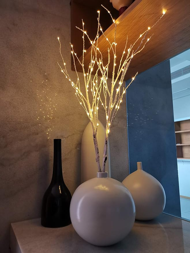 CTSC White Birch Branch LED Lights, 2 Pack, Battery Powered Artificial Branches, Decorative Indoo... | Amazon (US)
