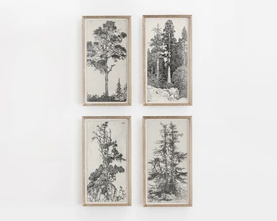 Sketch art, tree drawing, vintage drawing, antique sketch, vintage art, botanical print, tree ske... | Etsy (US)