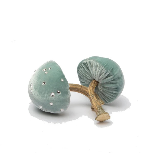 NEW Mini Silk Velvet Seafoam Mushroom | Hot Skwash