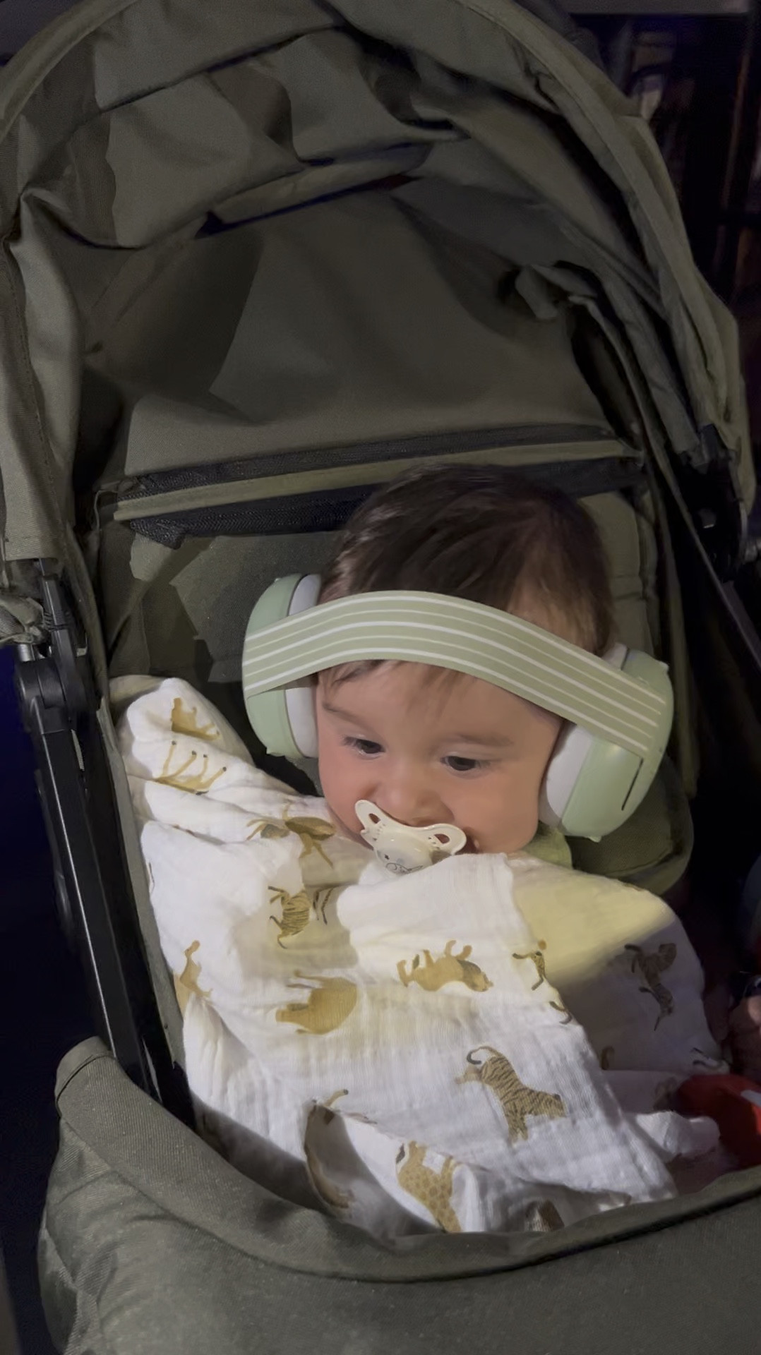 These earmuffs have been a godsend to two dance parents! Everest has been in rehearsals and it shows with us since he was six weeks old, and we have always rested easy, knowing that his hearing was protected by these headphones! On sale now!

#LTKFamily #LTKBump #LTKBaby