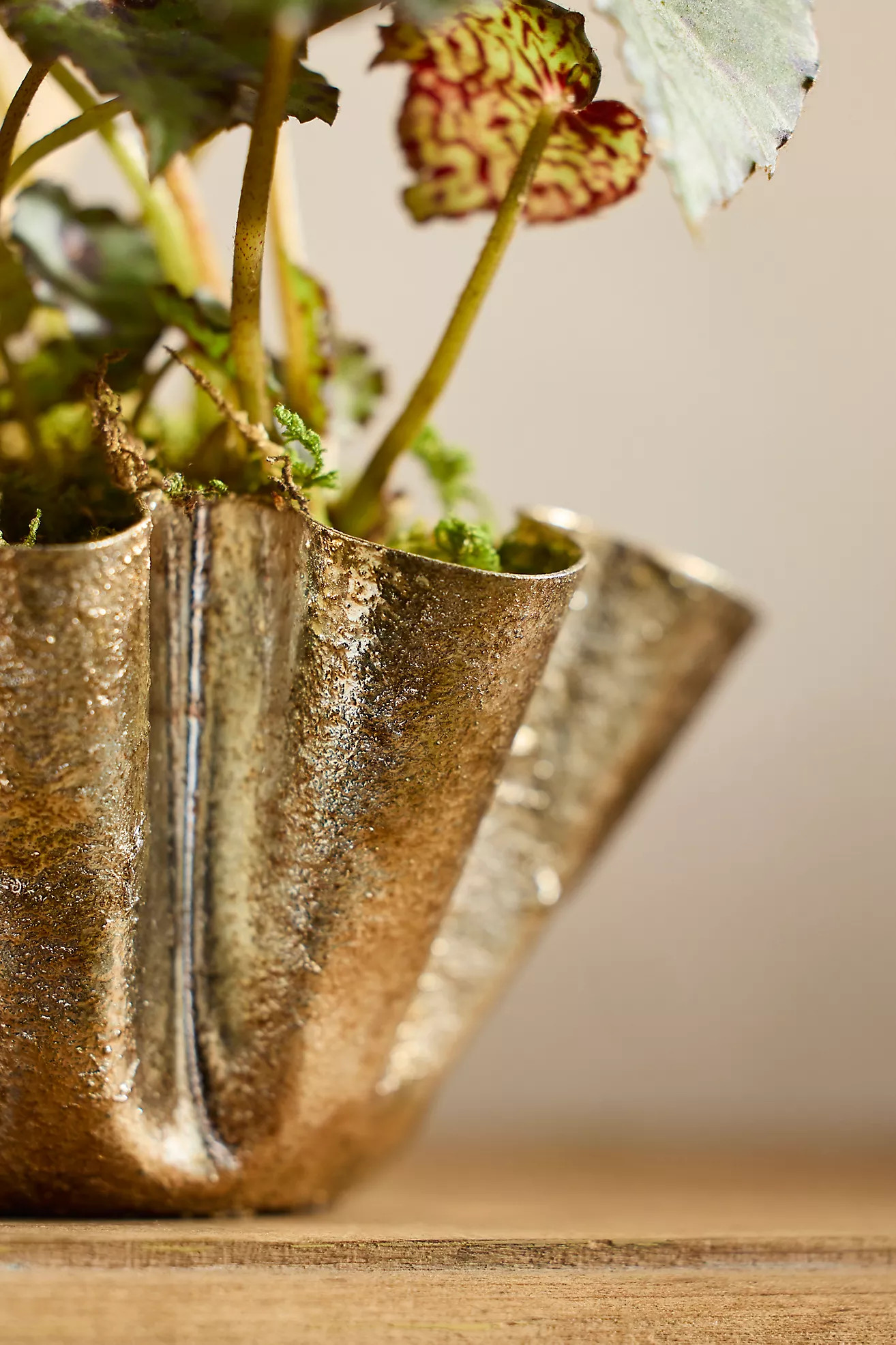 Golden Handkerchief Planter, Small | Anthropologie (US)