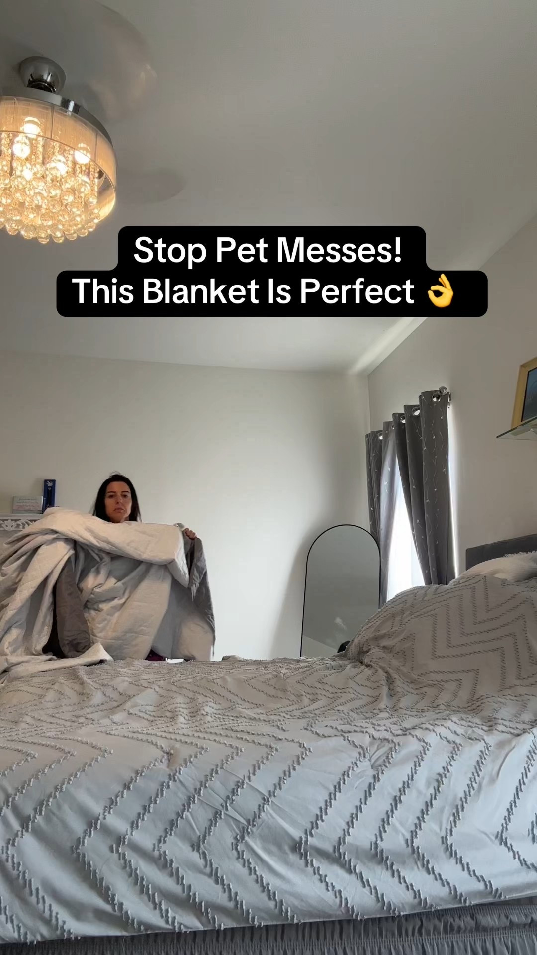 Stop the pet messes now! 

#LTKPets #LTKHome