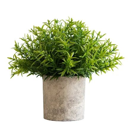9'' Faux Rosemary Plant in Pot | Wayfair North America