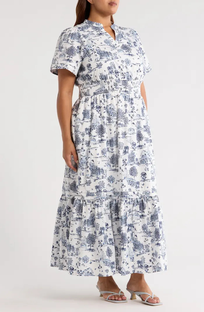 Renzo Toile Cotton Poplin Maxi Dress | Nordstrom