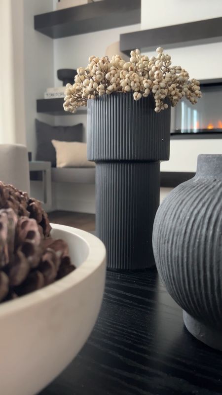 Love this stunning black ribbed vase from Amazon! Such a great piece for year round decor.


#LTKVideo #LTKhome #LTKfindsunder50