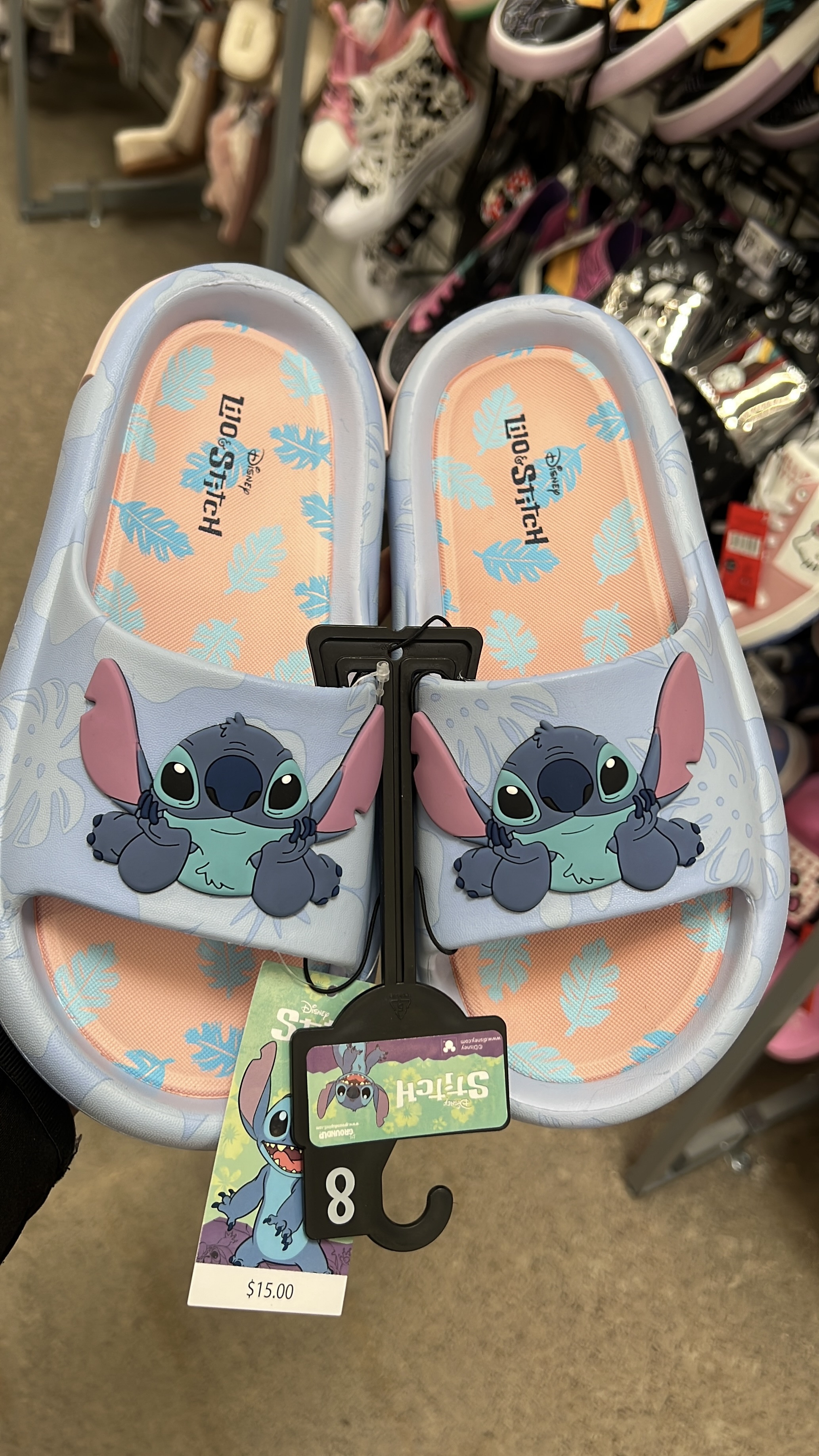 Disney Slides 