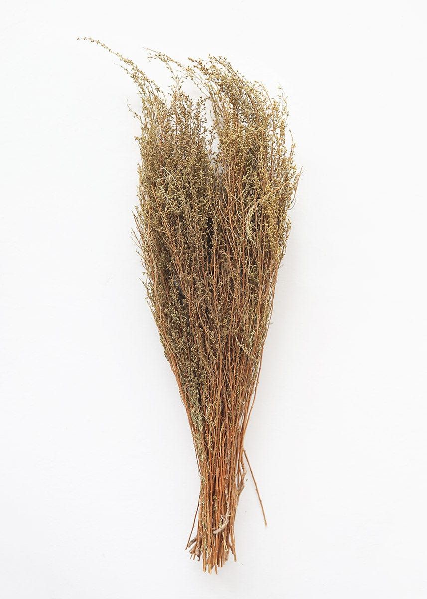 Natural Solidago Goldenrod Dried Flowers - 12-20" | Afloral (US)