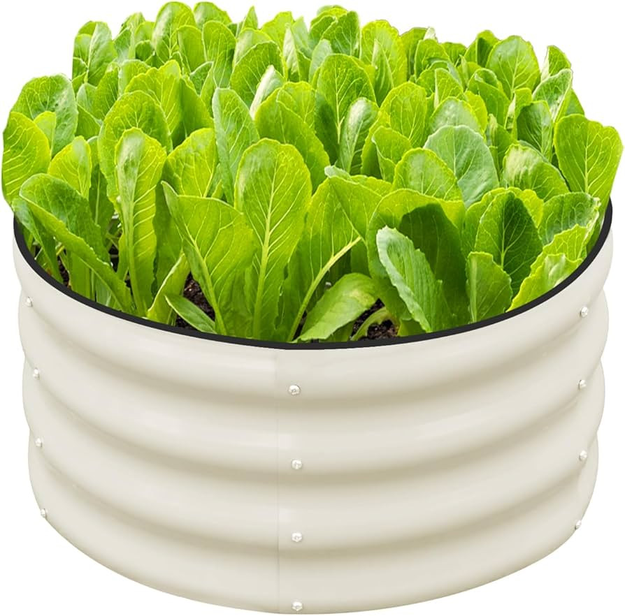 SnugNiture 2x2x1ft Round Galvanized Raised Garden Bed Kit Outdoor, Metal Planter Box for Planting... | Amazon (US)