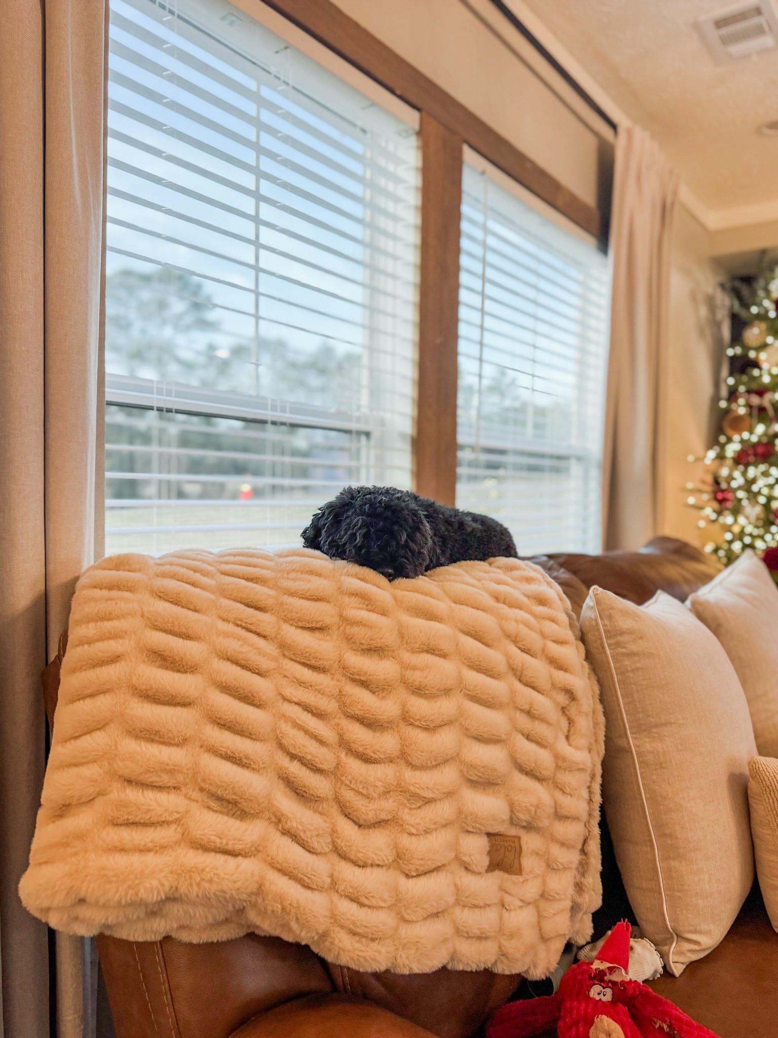everyone needs a lola blanket!!

#LTKGiftGuide #LTKHoliday #LTKCyberWeek
