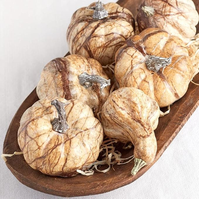 Factory Direct Craft Marble Look Artificial Mixed Pumpkins and Gourd for Fall Decorating and Disp... | Amazon (US)