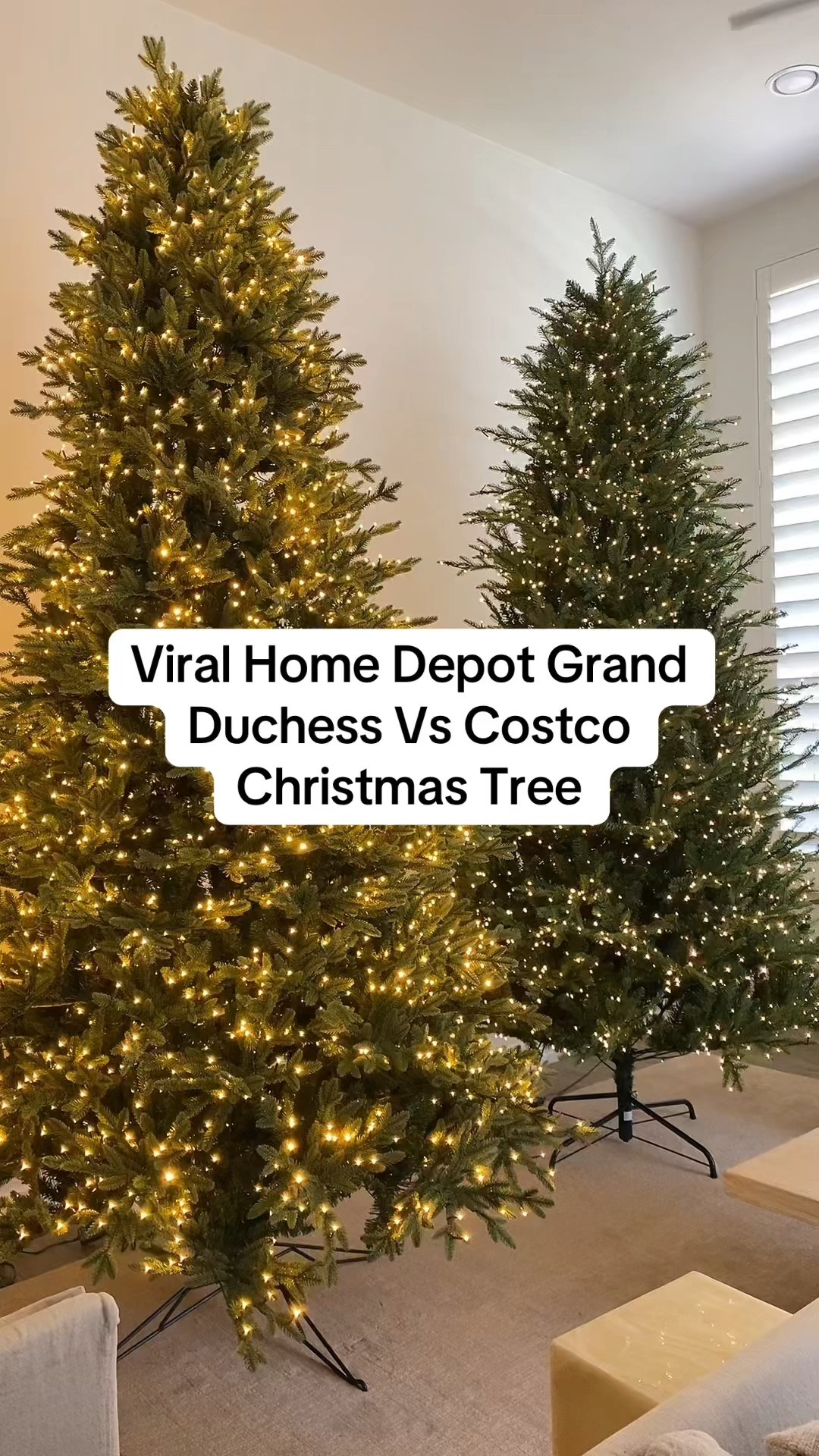 VIRAL home depot christmas tree grand duchess vs Costco Christmas tree honest thoughts 

Unfortunately I can’t link the COSTCO tree but I’ve linked the Home Depot ones and some options that are IN STOCK!

#LTKHome #LTKHoliday #LTKSeasonal