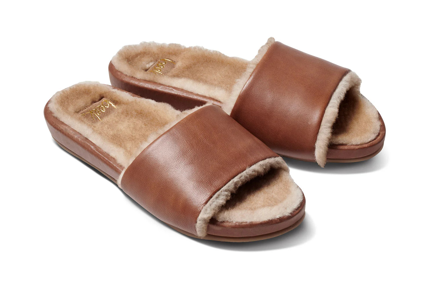 GALLITO MÁS SHEARLING - Cognac | beek