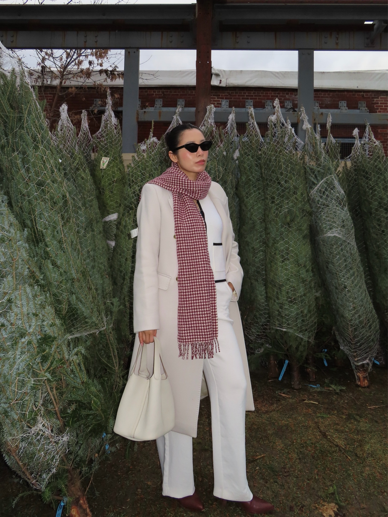 Let’s go find a Christmas tree! 🎄