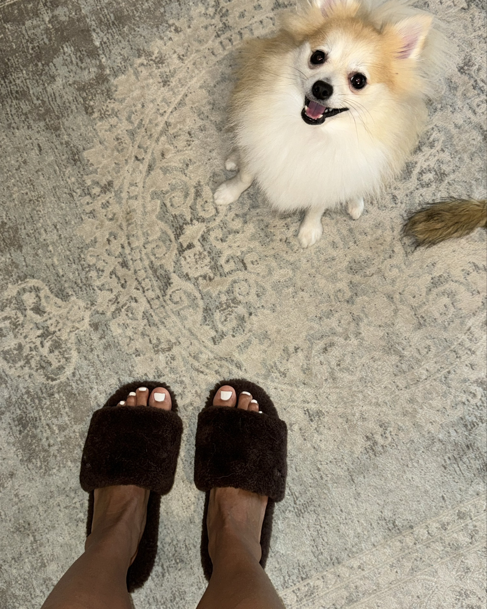 These UGG slippers are Wolfie approved 😆 I’ve had my grey platform UGG slippers for 4 years now — IT WAS TIME FOR AN UPGRADE 🙌🏼 

At Nordstroms Anniversary Sale I haddddd to get these Sherpa slip ons 🐻 they’re only $69! Get them while they last 

#LTKSaleAlert #LTKxNSale #LTKShoeCrush