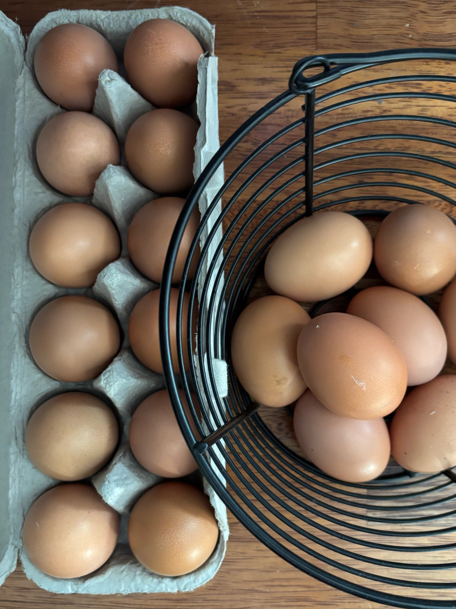 Egg basics! Our girls are molting so production has slowed down but love having these staples for storage! Everything is from RK so linking some similar finds and same brands!

#LTKSeasonal #LTKFamily #LTKGiftGuide