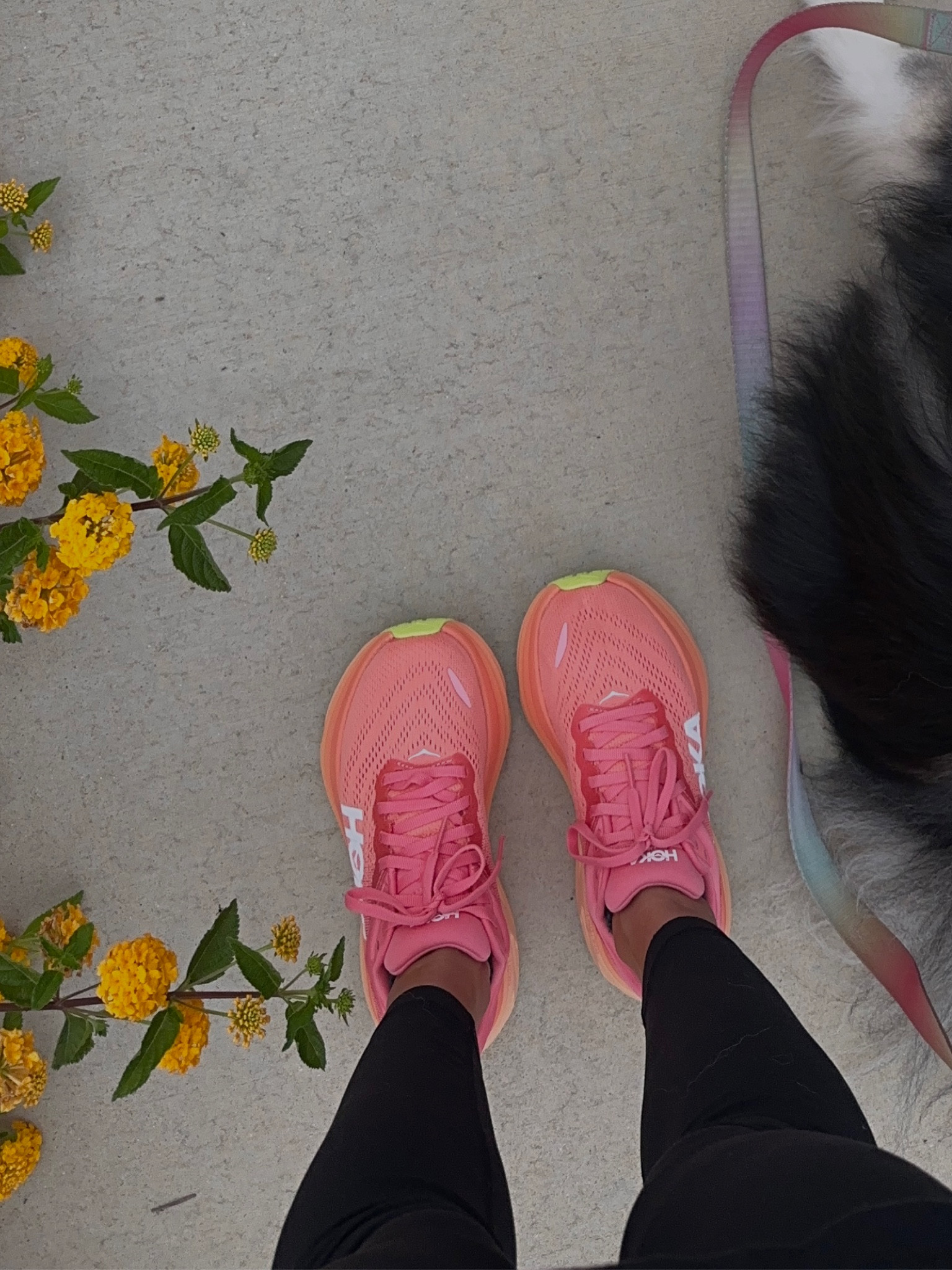 🩷 

#LTKActive #LTKFitness #LTKStyleTip