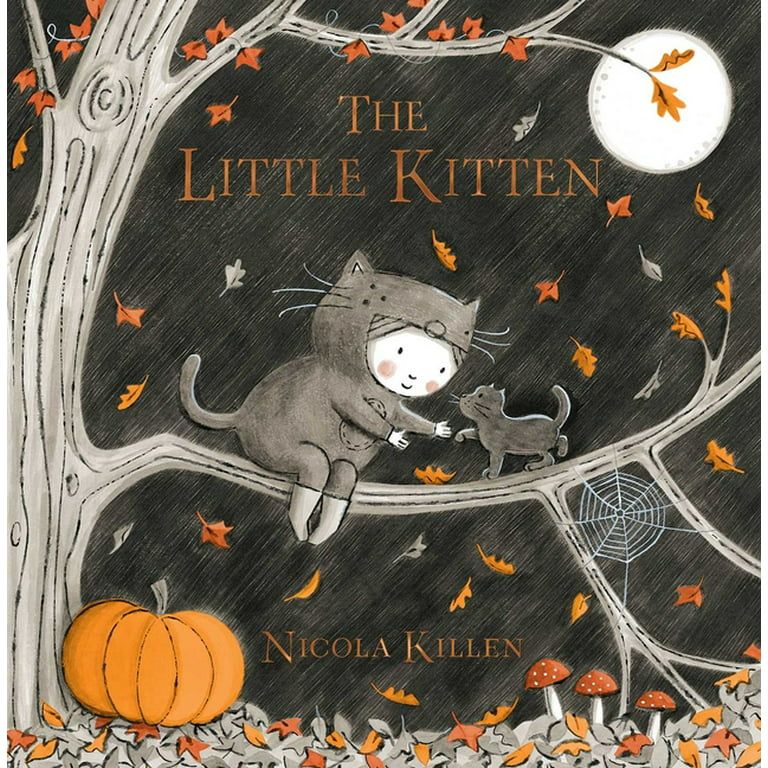 My Little Animal Friend: The Little Kitten (Hardcover) | Walmart (US)