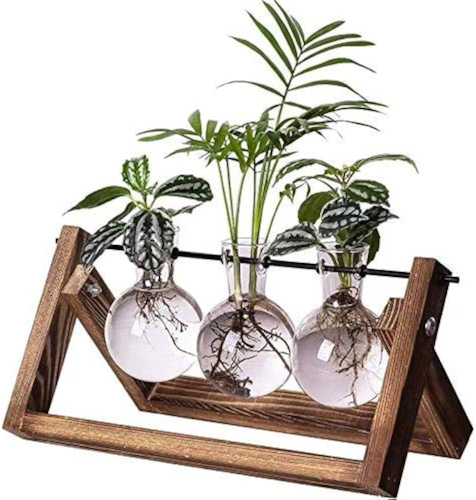 Kingbuy Plant Propagation Stations Terrarium Glass Desktop Planter with Retro Wooden Stand 3 Bulb Vases for Hydroponics Indoor Office Desk Home Decor, Plant Holder Lover Gifts for Women | Amazon (US)