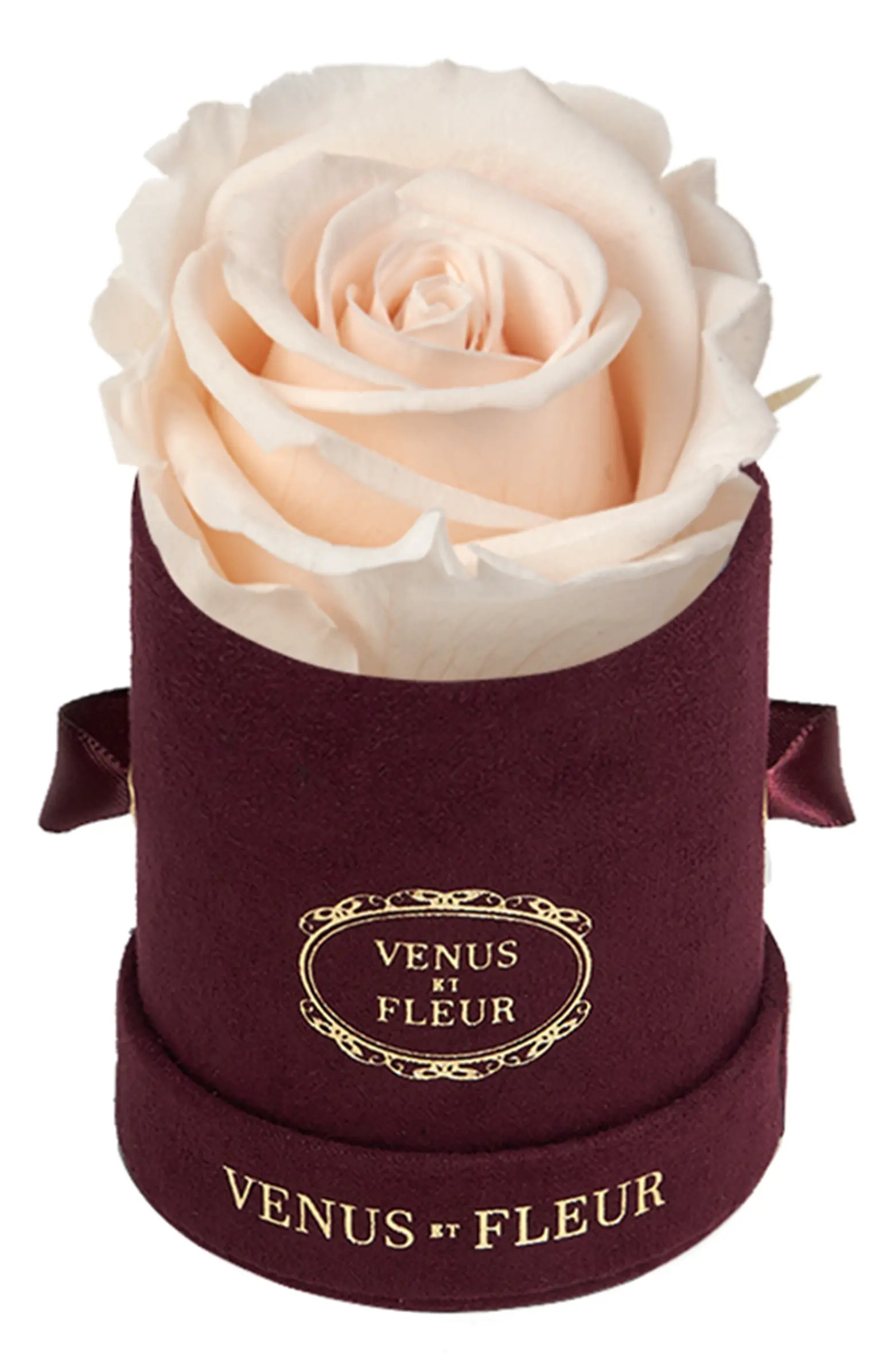 Venus ET Fleur Classic Le Mini™ Round Eternity Rose | Nordstrom | Nordstrom