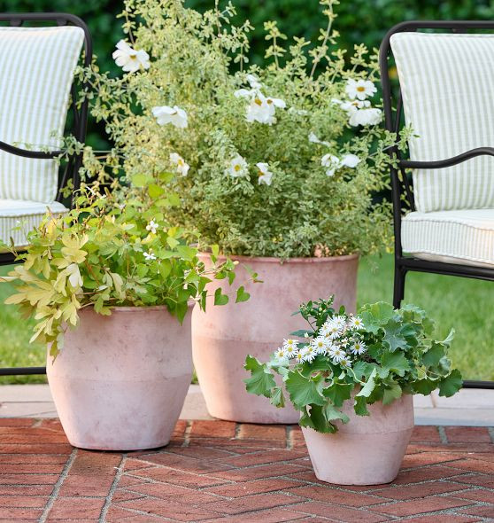 Antique Terracotta Planters | Rejuvenation