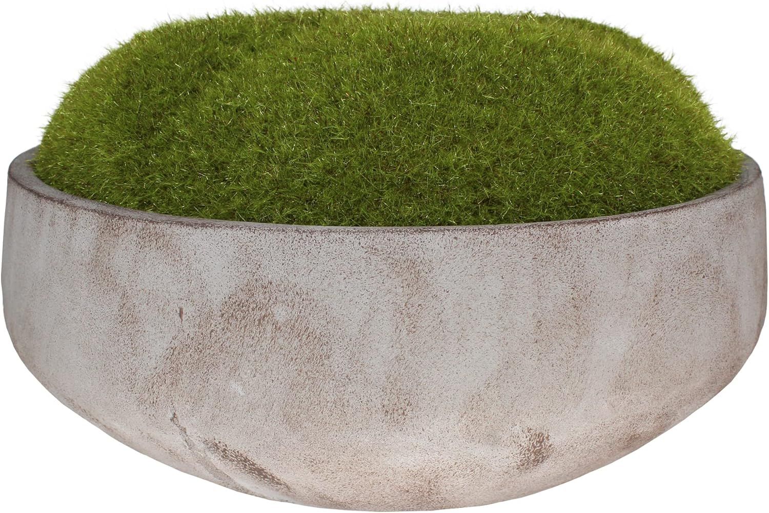 MD MACOMINE DESIGN Moss Bowl | Artificial | Hand-Painted Cement Bowl | Centerpiece | Home Décor ... | Amazon (US)