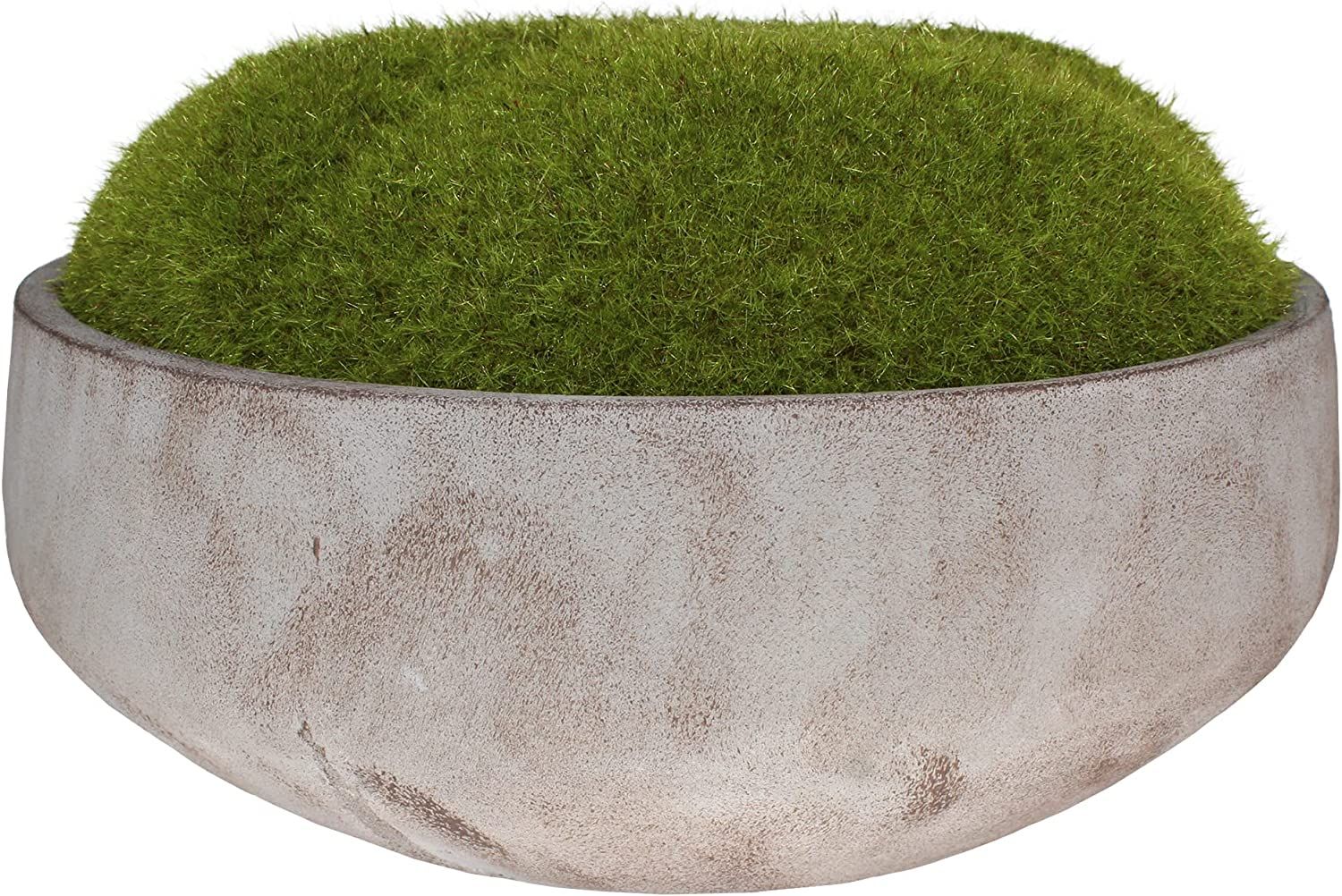 MD MACOMINE DESIGN Moss Bowl | Artificial | Hand-Painted Cement Bowl | Centerpiece | Home Décor ... | Amazon (US)