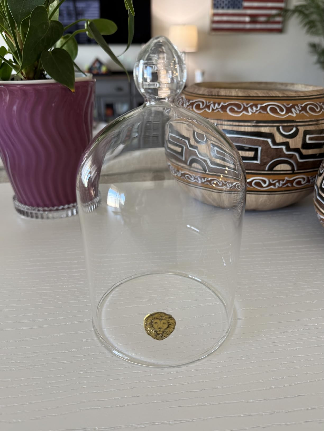 Clear Glass Cloche Dome Case for Home Decor and Keepsakes Salt | Amazon (US)