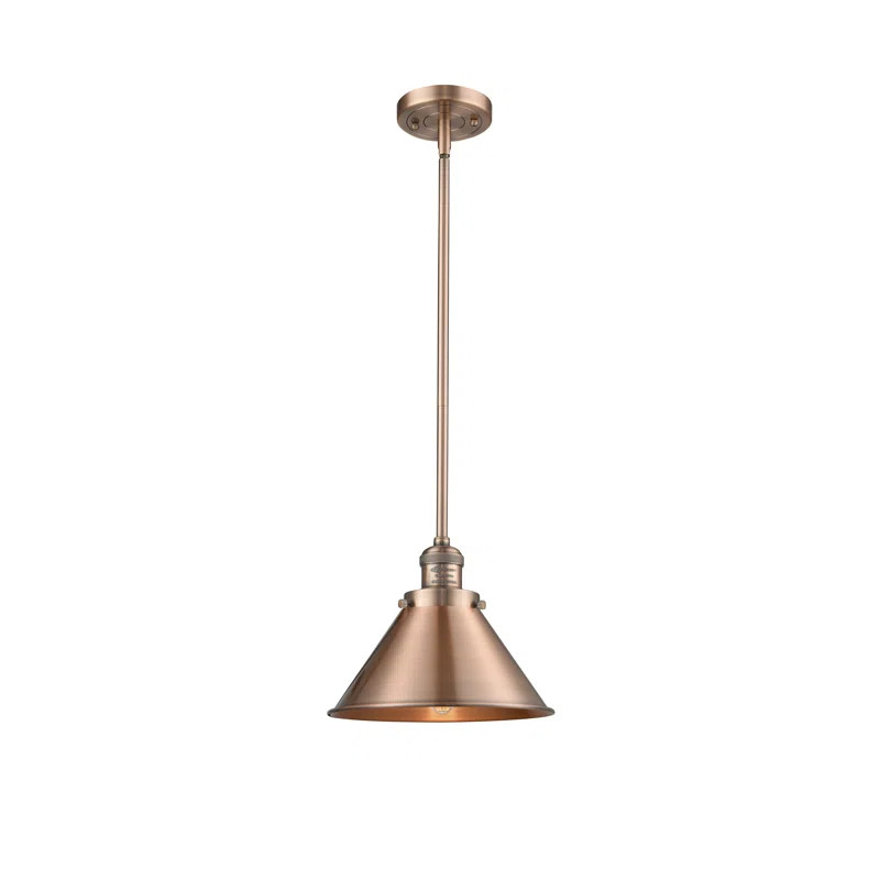 Paylor 1 - Light Single Pendant | Wayfair North America