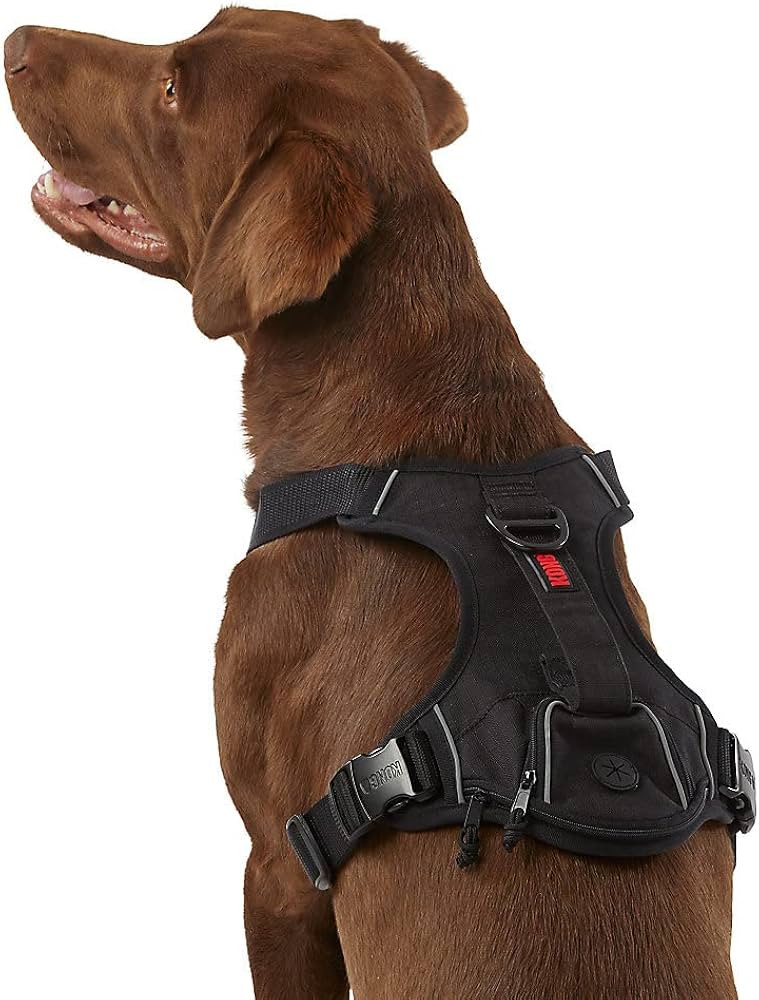 KONG Ultra Durable Waste Bag Harness (Medium, Black) | Amazon (US)