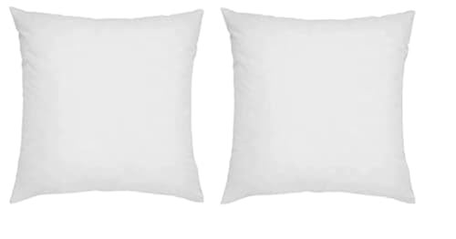 Ikea 20" x 20" Fjadrar Duck Feather Filled Inner Cushion - Set of 2 | Amazon (US)