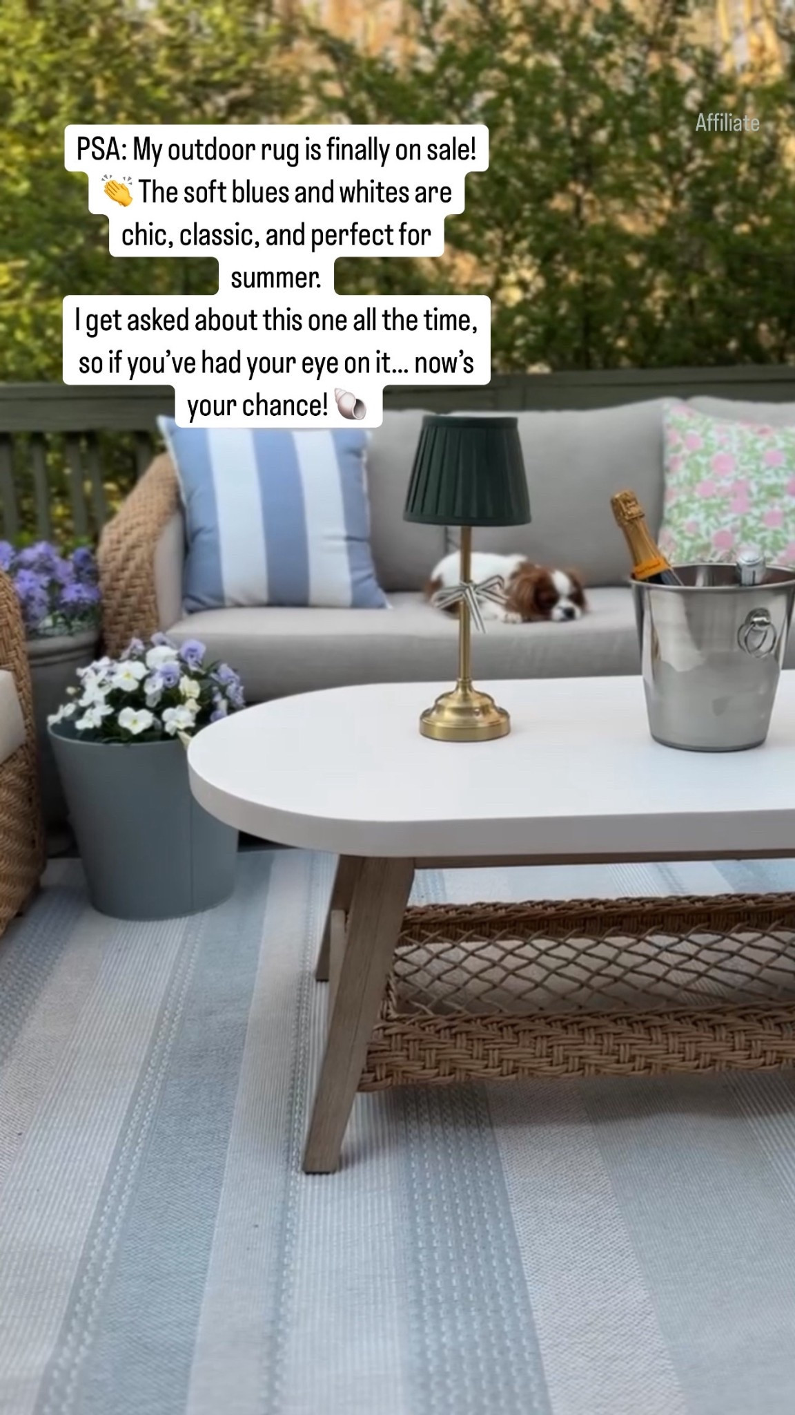 My super popular blue and white outdoor rug is finally on sale! We love this for our back deck. Outdoor living space, outdoor rug, Amazon rug, prime day deals, outdoor throw pillows

#LTKSaleAlert #LTKHome