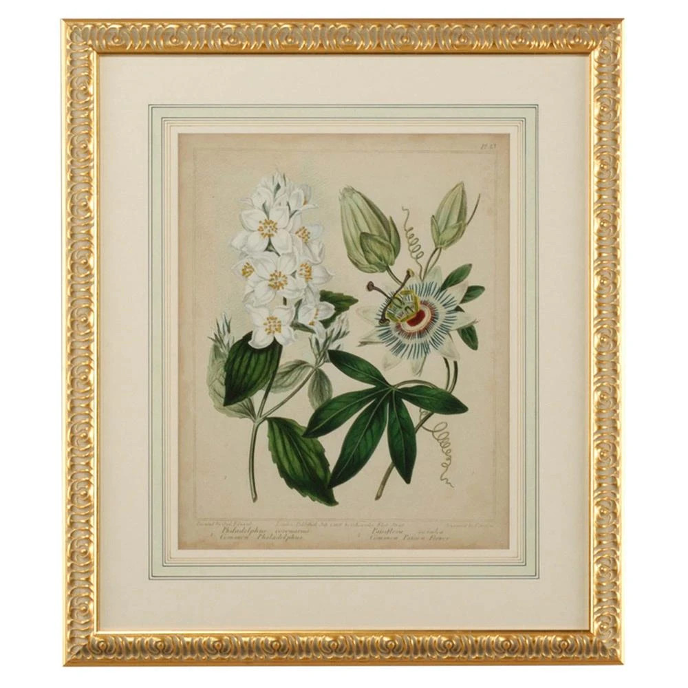 Sera French Country Cottage Florals II Gold Leaf Frame Illustration | Kathy Kuo Home