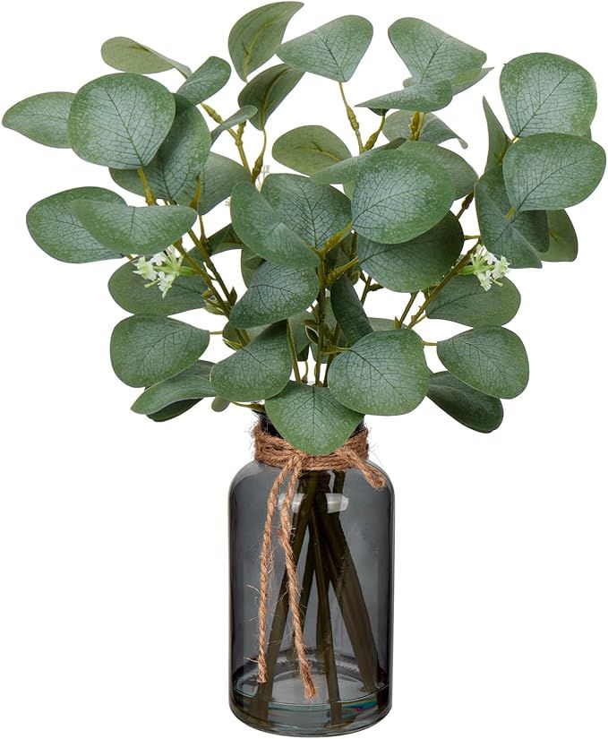 Briful Artificial Eucalyptus Stems in Black Glass Vase with Faux Water, 14" Fake Plant Eucalyptus... | Amazon (US)