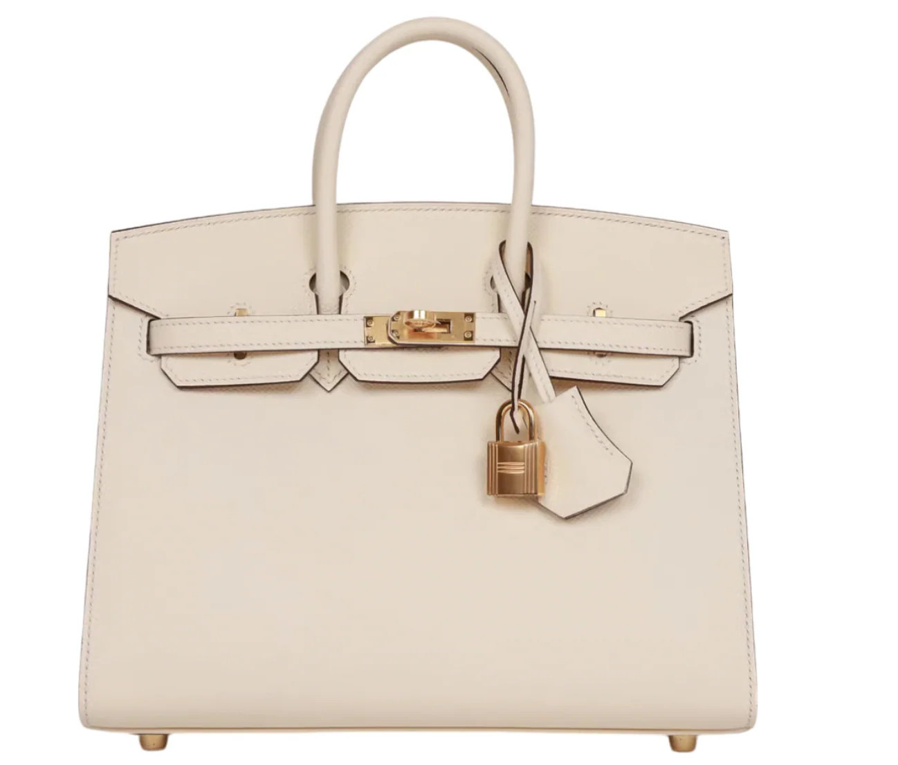 Hermès Epsom Sellier Nata Birkin 25 With Gold Hardware | Italist.com US