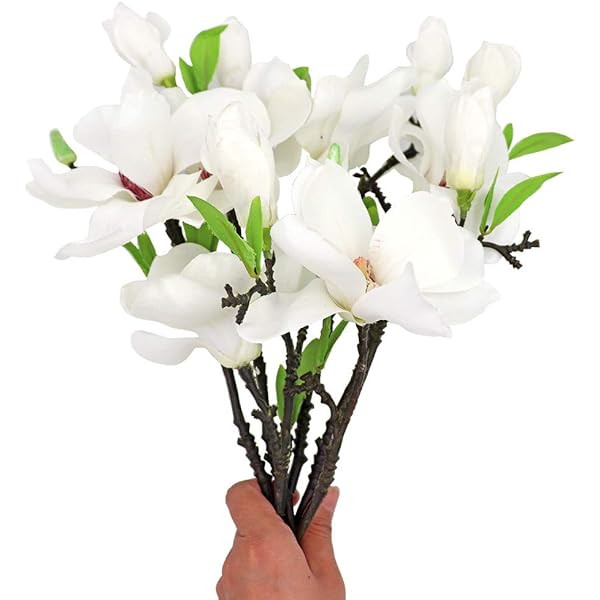 Floral Kingdom 25" Real Touch Artificial Magnolia Flowers for Foral Arrangements, Gift Wrapping, ... | Amazon (US)