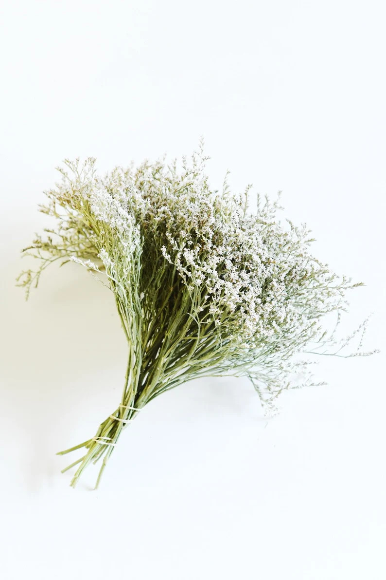 German Statice Dry Flowers White Green Wedding Bouquet | Etsy | Etsy (US)