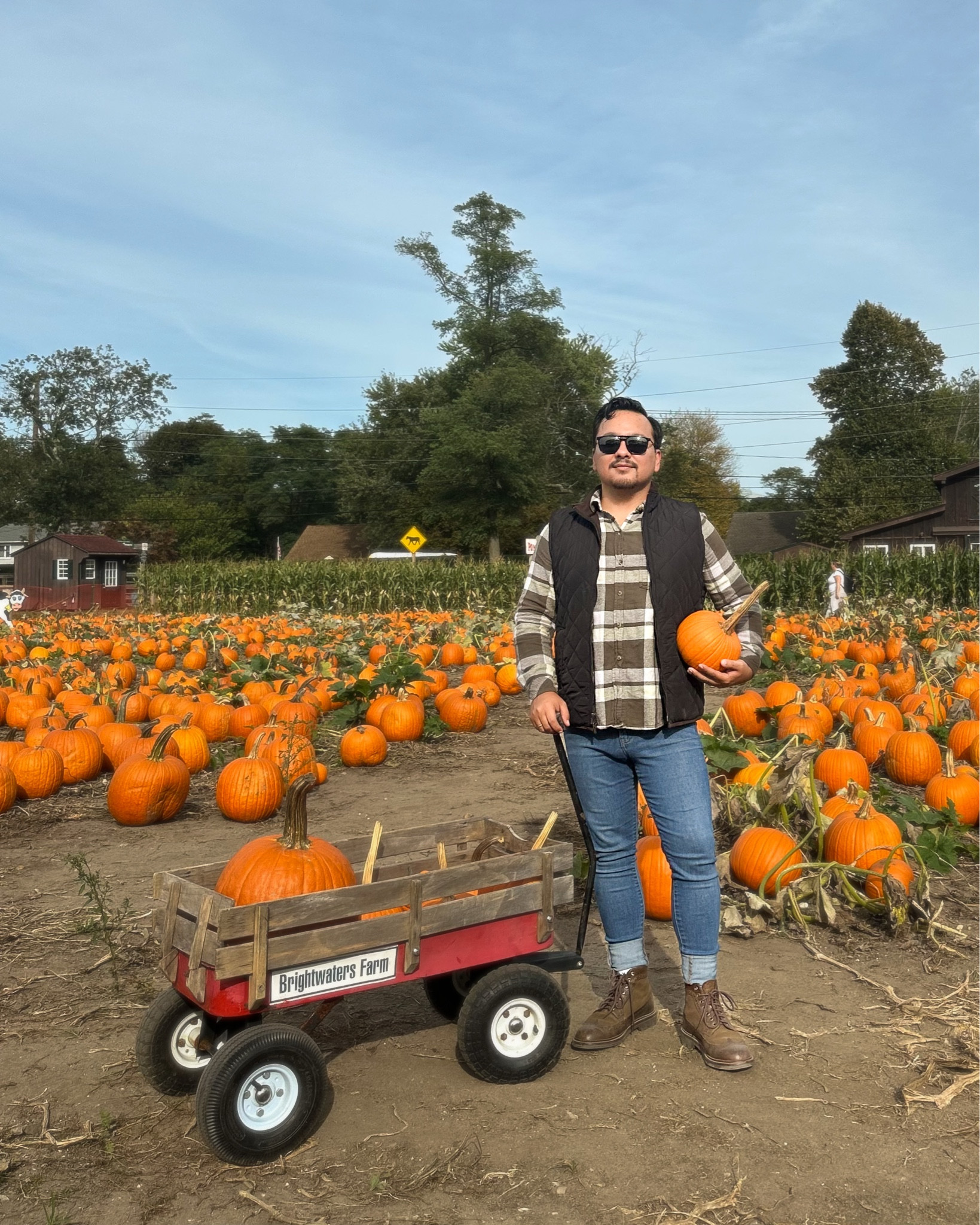 Pumpkin Picking 🎃🎃🎃