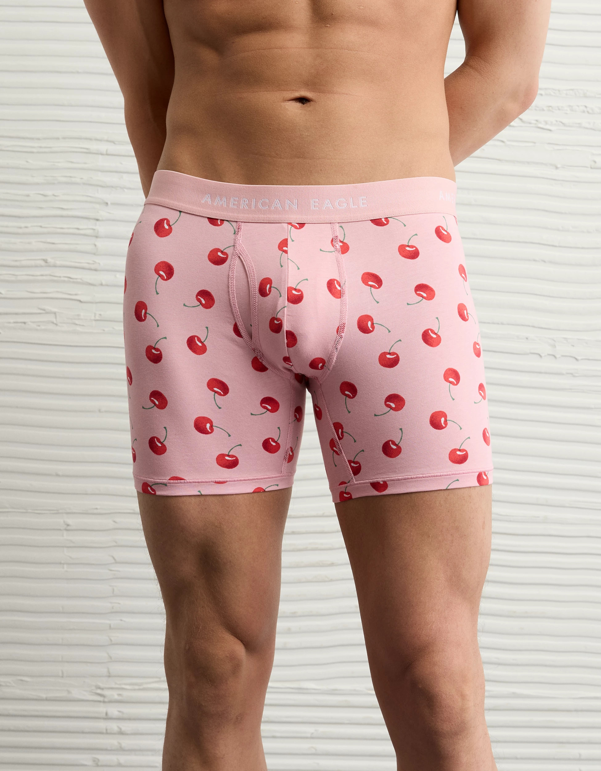 AEO Men's Cherries 6" Classic Boxer Brief | American Eagle Outfitters (US & CA)