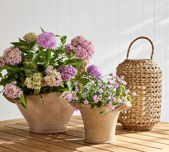 Harbor Cachepots | Pottery Barn (US)