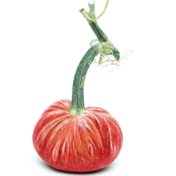 Rhubarb Silk Velvet Pumpkin | Hot Skwash